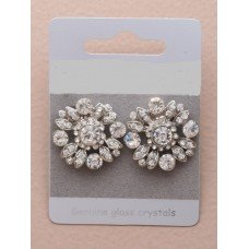 Lovely Silver Crystal Flower Style Earrings